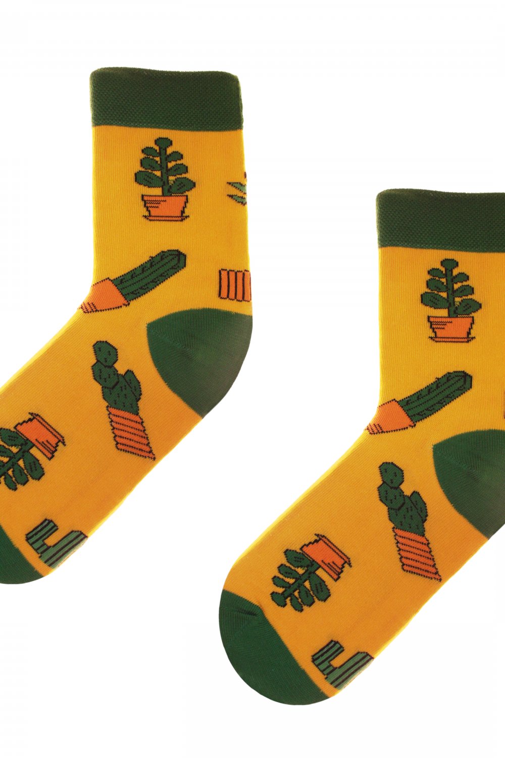 Levně Obrázkové ponožky 80 Funny cactus